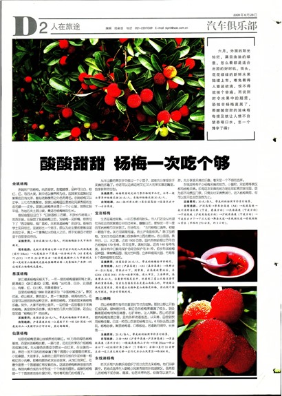 �Ϻ�������������;