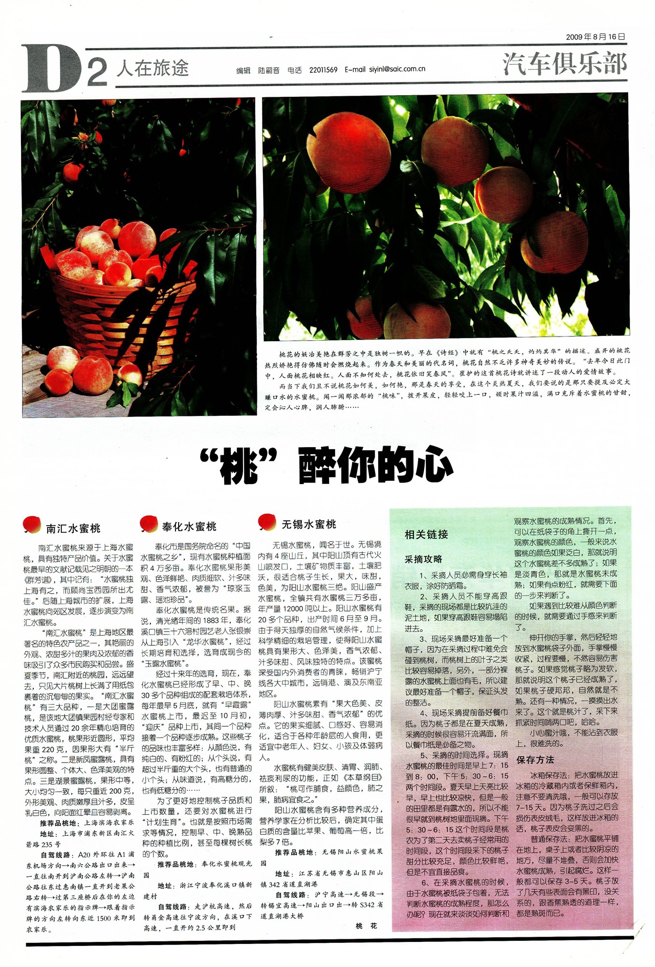 �Ϻ�������������;